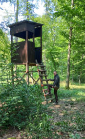Schützen - Pflegen - Hegen: Claas Rittierott am Hochsitz im Hordorfer Forst.