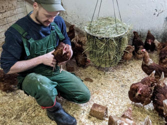 Corvin Rittierott bei den Hühnern im großzügigen Scharrbereich. Die Hühner lassen sich unser Brot schmecken.